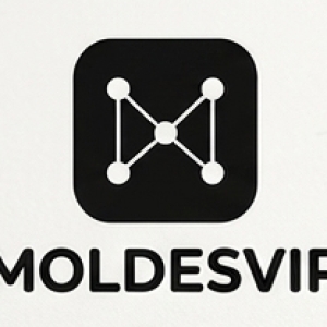 MoldesVIP